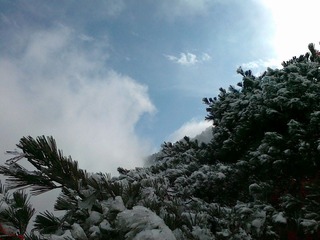 20111203510.jpg