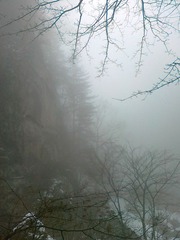 20111203518.jpg