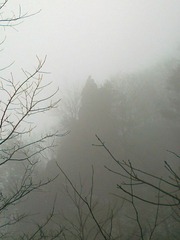 20111203521.jpg