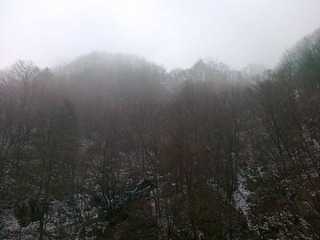 20111203527.jpg
