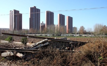 IMG_7074.JPG