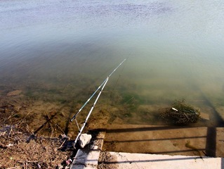 IMG_7082.JPG