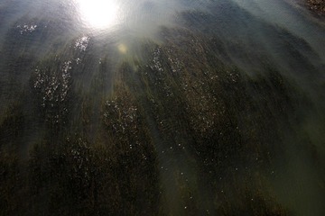IMG_7085.JPG