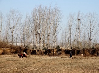 IMG_7100.JPG