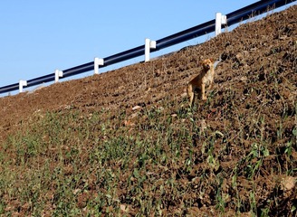 IMG_7156.JPG