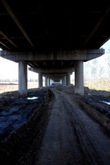 IMG_7178.JPG
