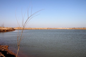 IMG_7199.JPG