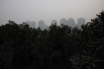 IMG_7462.JPG