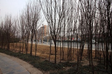 IMG_7543.JPG