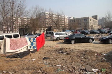 IMG_7775.JPG