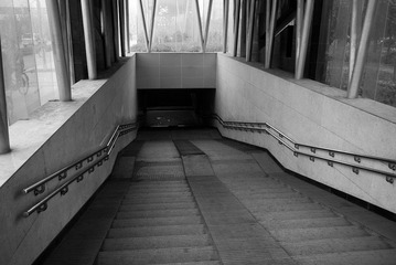 P1000055.jpg