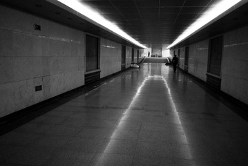 P1000056.jpg