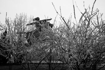 P1000057.jpg