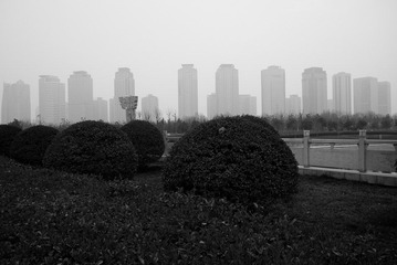 P1000063.jpg