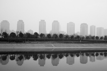 P1000065.jpg
