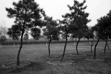 P1000067.jpg