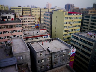 P1000172.jpg