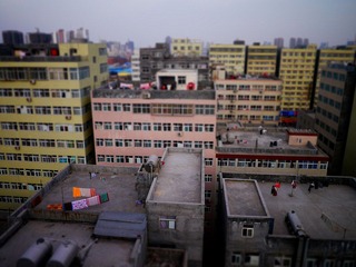 P1000175.jpg
