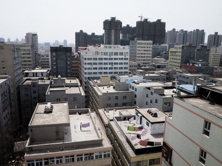 P1000099.jpg