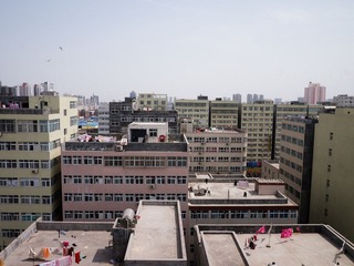 P1000100.jpg
