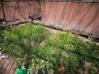 P1000145.jpg