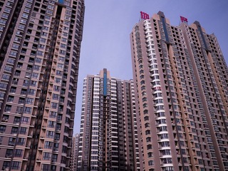 P1000161.jpg