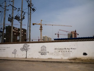 P1000165.jpg