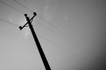 P1000203.jpg