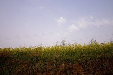 P1000207.jpg