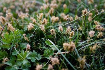 P1000214.jpg