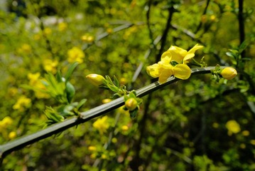 P1000233.jpg