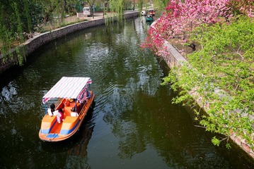 P1000319.jpg