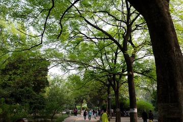 P1000339.jpg