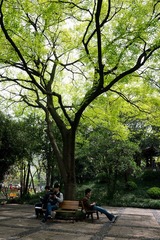 P1000364.jpg