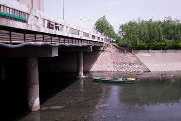 P1000496.jpg