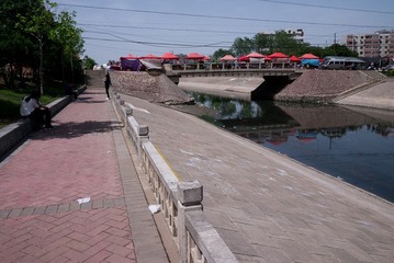 P1000513.jpg