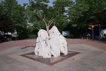 P1000534.jpg