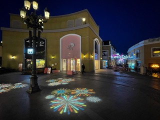 黄花