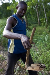 sebhe080612-8250