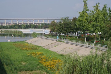 carry080416-4801bwa