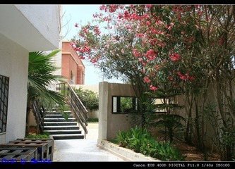 office-3