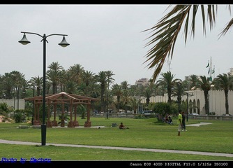 garden-1