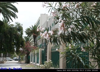 grand hotel