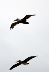 DSC_0599.jpg