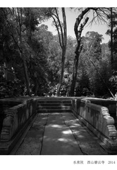 P1030015_
