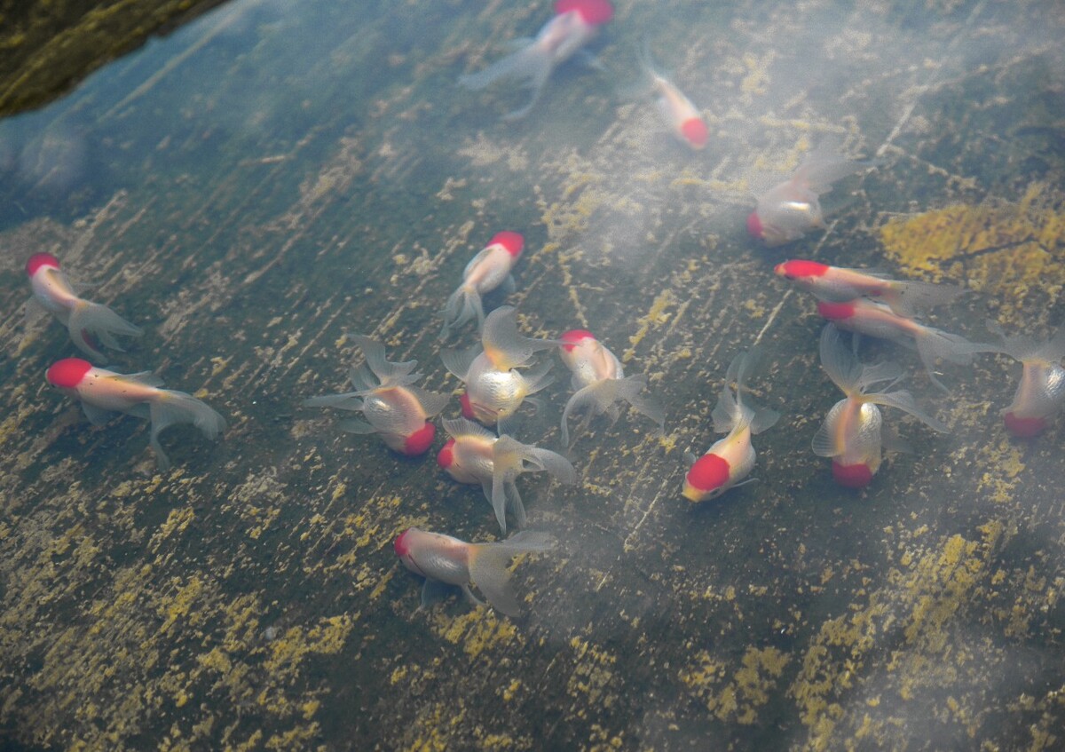 唔<br />
