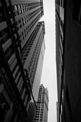 422784_582189993.jpg