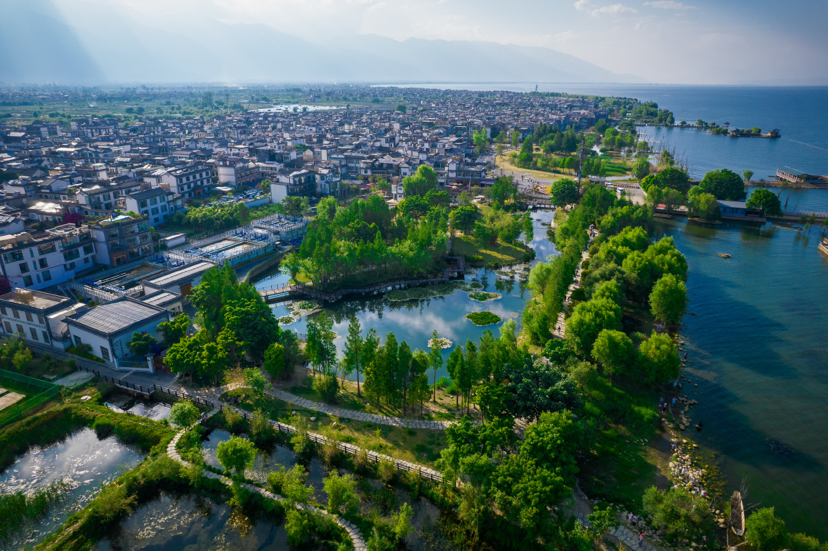 大理才村湿地公园