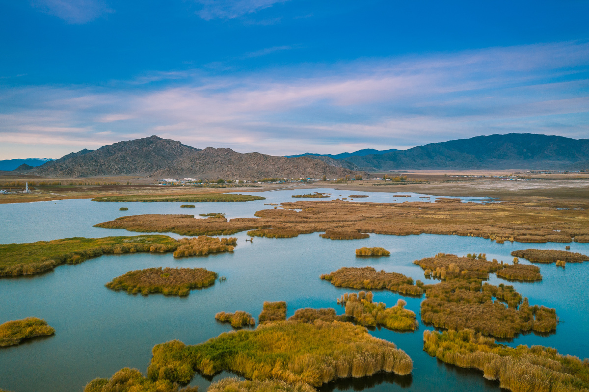 新疆富蕴可可苏里野鸭湖