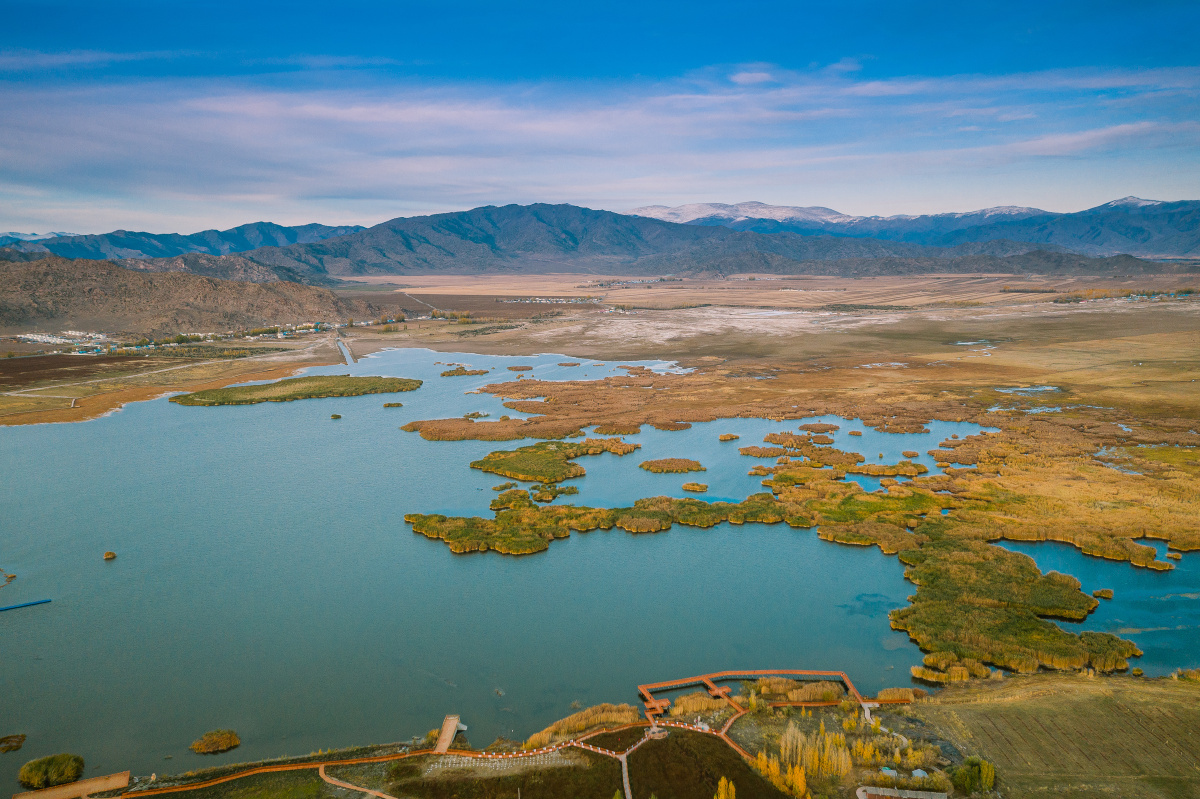 新疆富蕴可可苏里野鸭湖